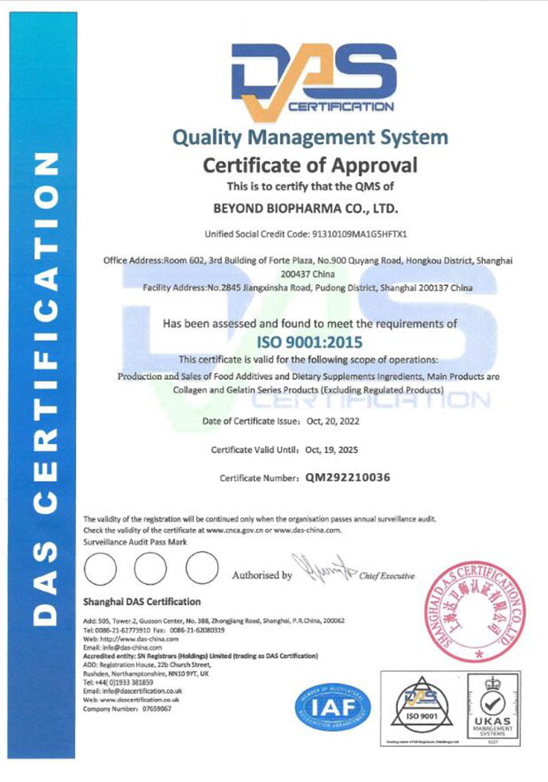 Updated BEYOND ISO9001